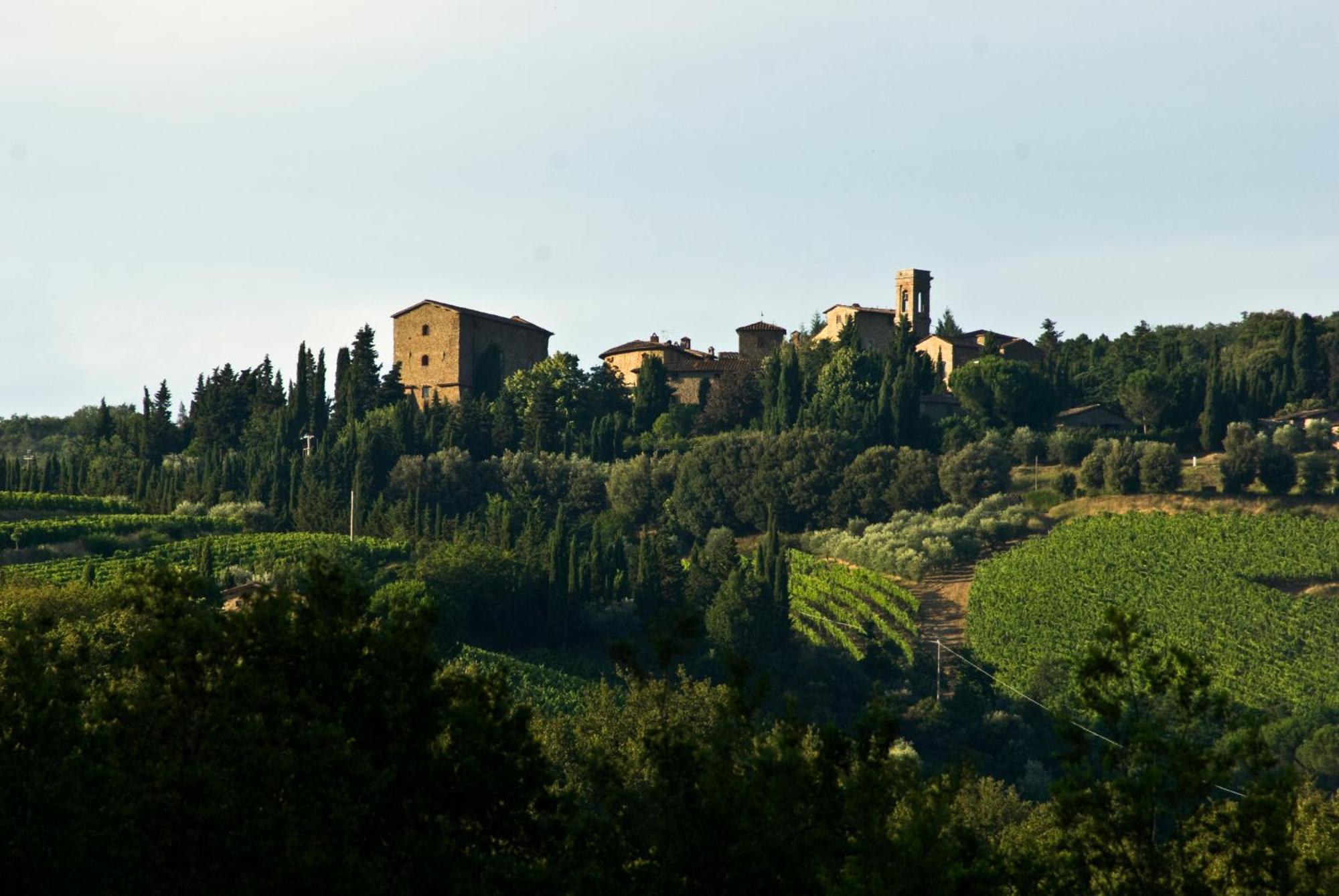 Gasthaus Castello Di Volpaia Radda in Chianti Exterior foto